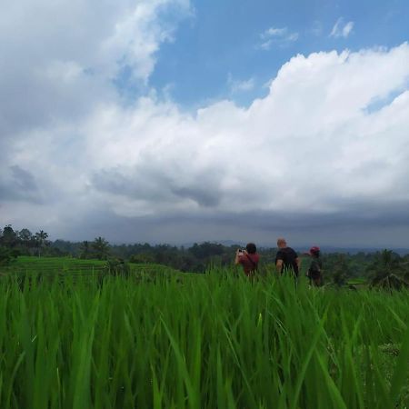 Tegal Jero Homestay 자띠루위 외부 사진