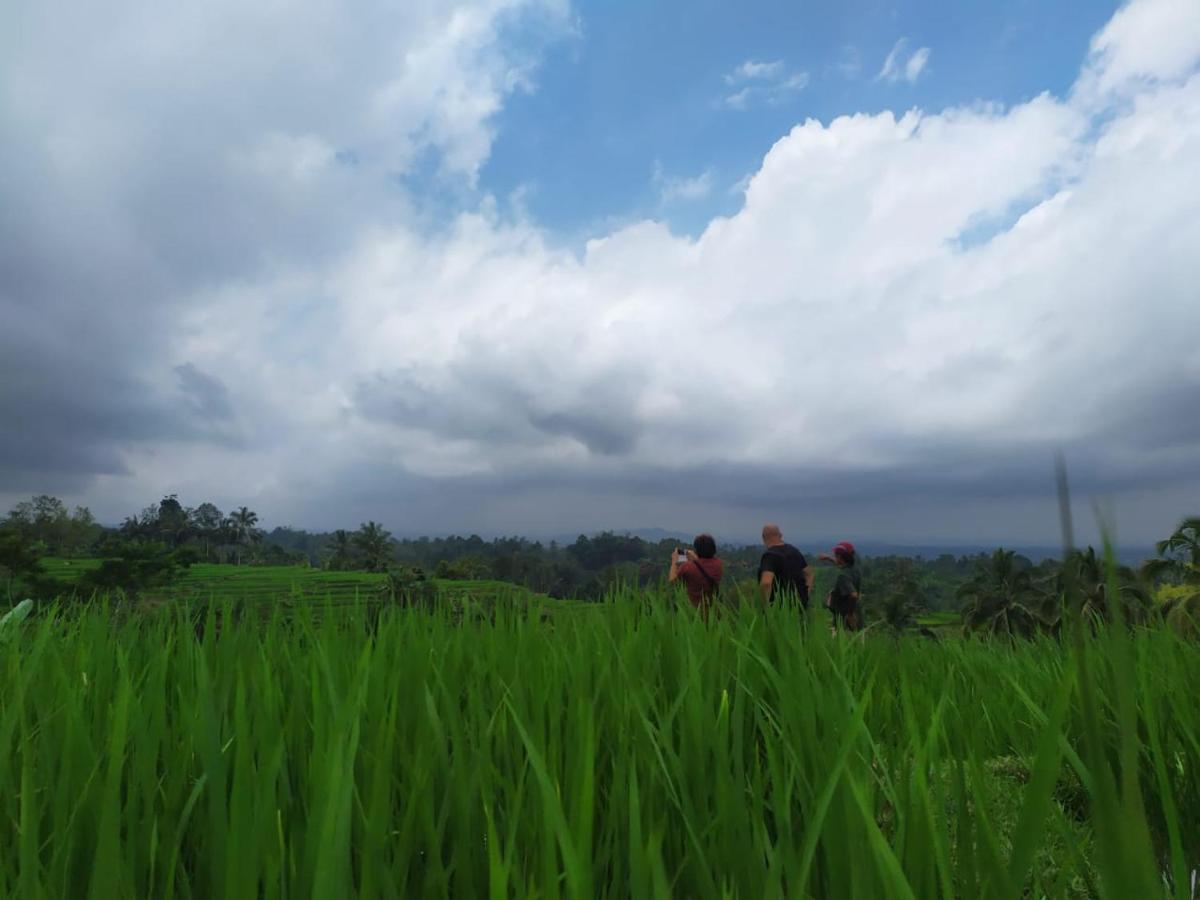 Tegal Jero Homestay 자띠루위 외부 사진