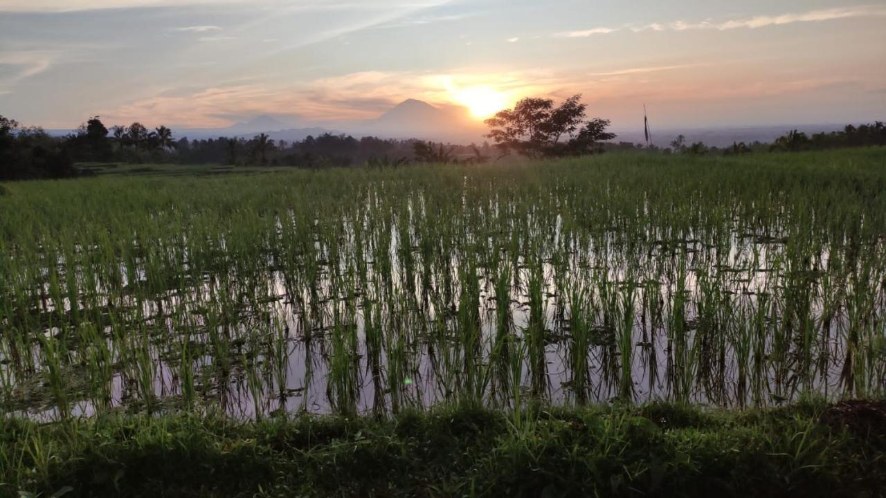 Tegal Jero Homestay 자띠루위 외부 사진