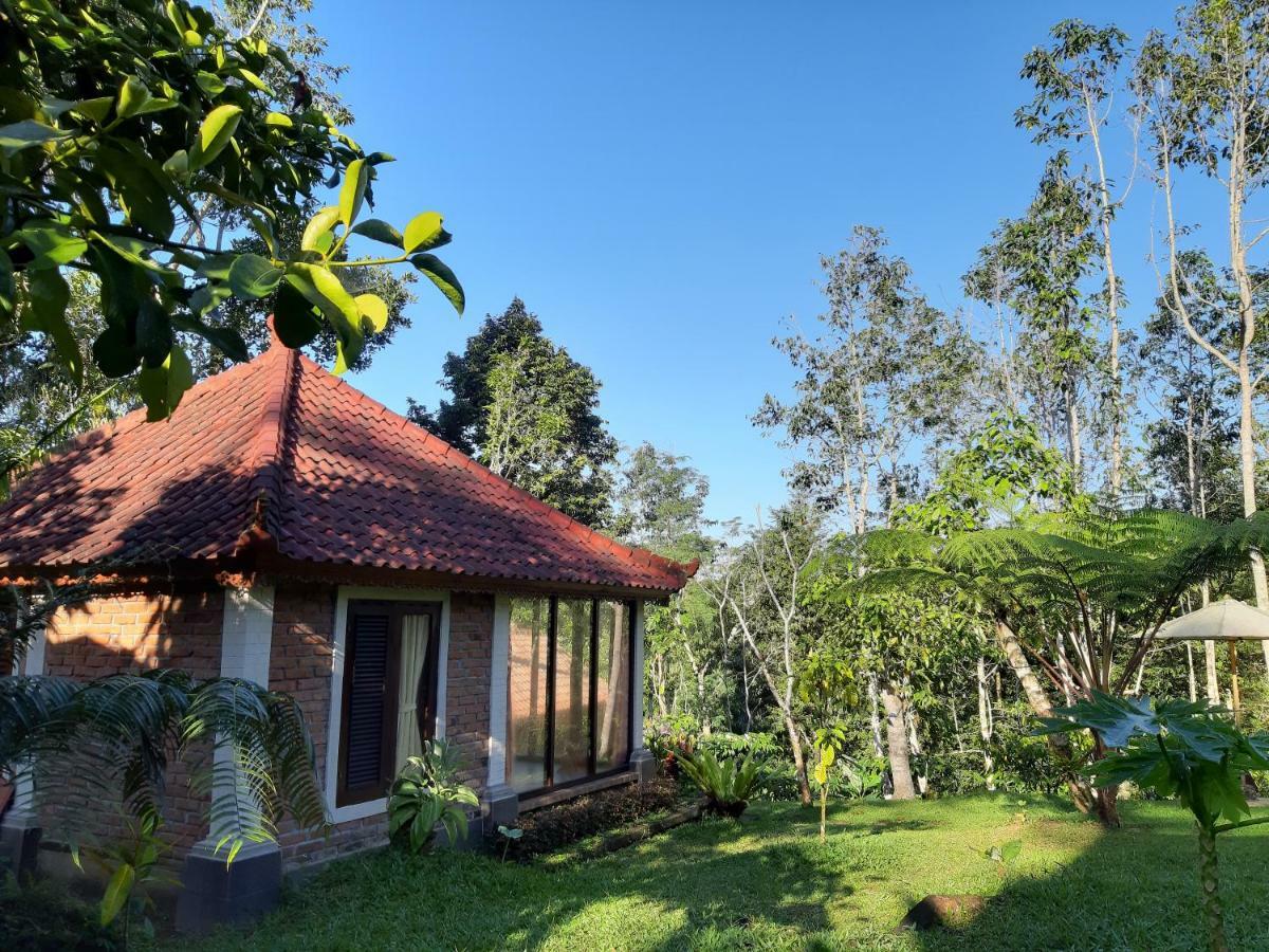 Tegal Jero Homestay 자띠루위 외부 사진